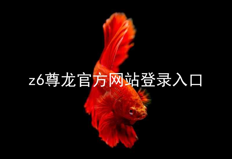 z6尊龙官方网站登录入口